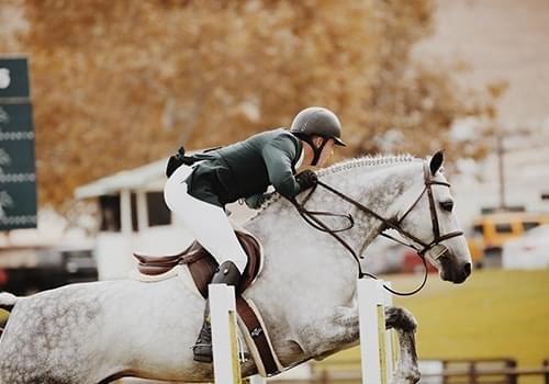 Horse jumping over a hurdle